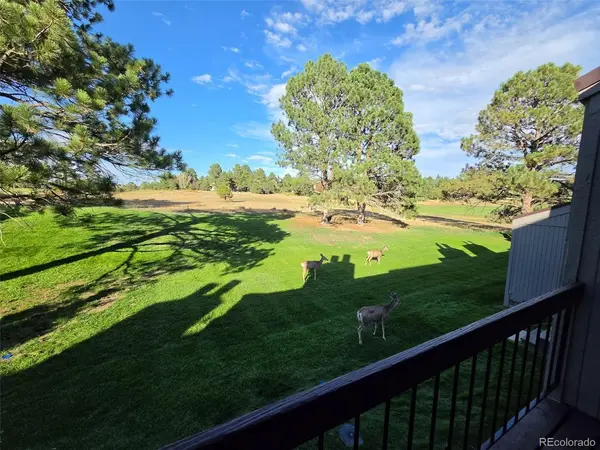 6480 Pinewood, Parker, CO 80134