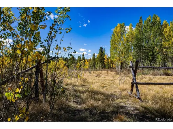660 Rockwell Renshaw, Fairplay, CO 80440