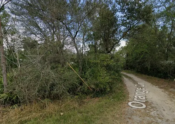 ORANGE CIR, Paisley, FL 32767