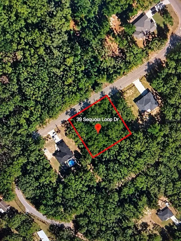Lot 39 SE SEQUOIA LOOP DR, Ocklawaha, FL 32179