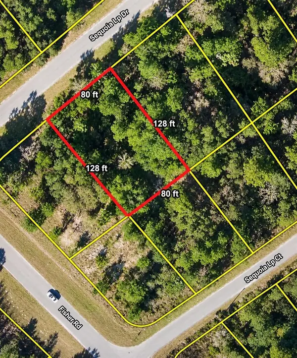 Lot 39 SE SEQUOIA LOOP DR, Ocklawaha, FL 32179