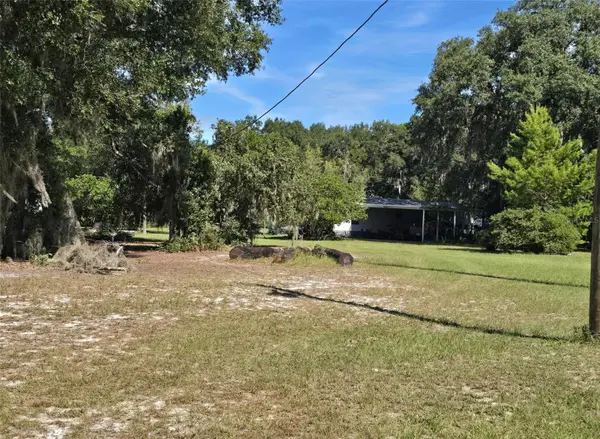 1 BAY TRAK, Ocklawaha, FL 32179