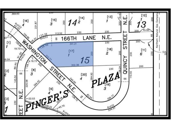 TBD 166th LN NE, Ham Lake, MN 55304