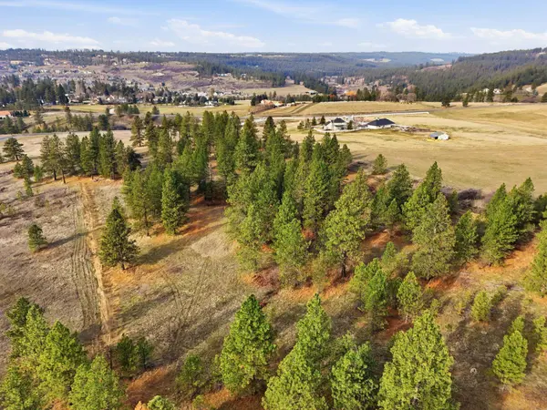 3086 E Balsam Hill Ln, Valleyford, WA 99036