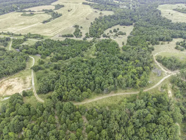 000 Gravel Point RD, Mountain Grove, MO 65711