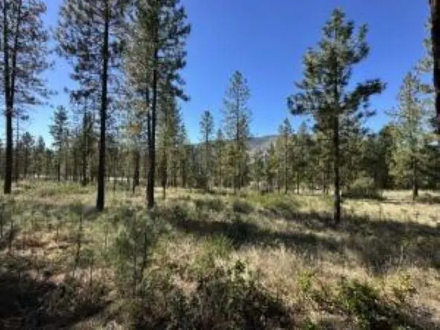1176 FUMI Cir, Kettle Falls, WA 99141-9941