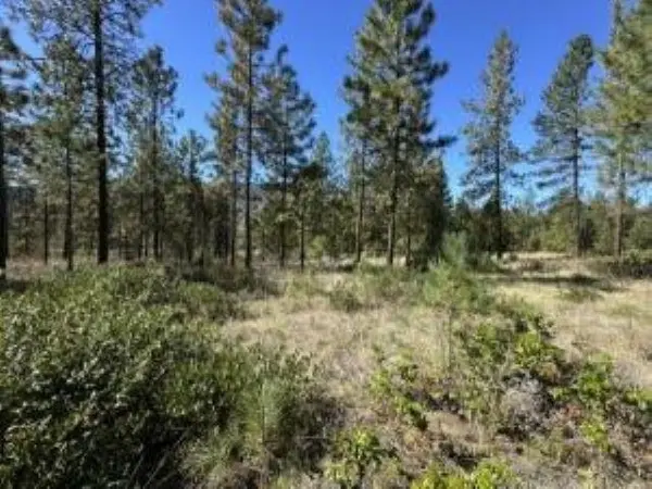 1176 FUMI Cir, Kettle Falls, WA 99141-9941