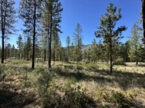 1176 FUMI Cir, Kettle Falls, WA 99141-9941