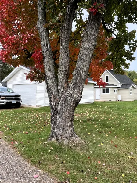 206 Peary ST, Palisade, MN 56469
