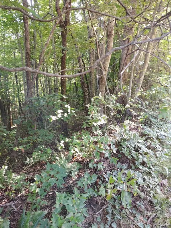 304 Feather Falls TRL #4, Old Fort, NC 28762