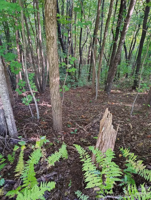 304 Feather Falls TRL #4, Old Fort, NC 28762