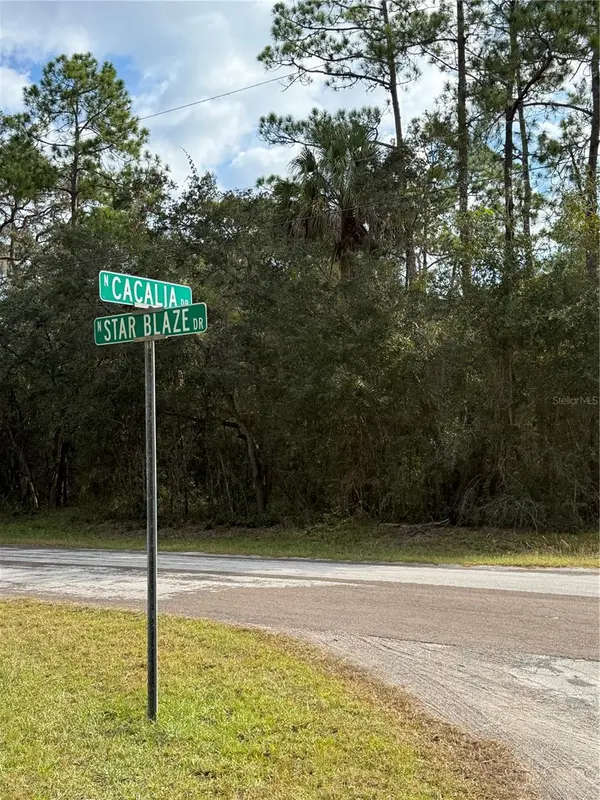 8941 N STAR BLAZE DR #2, Crystal River, FL 34428