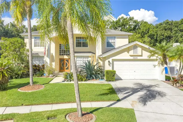 10210 VISTA POINTE DR, Tampa, FL 33635