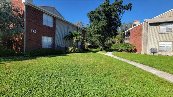 9100 DR MARTIN LUTHER KING JR ST N #206, St Petersburg, FL 33702