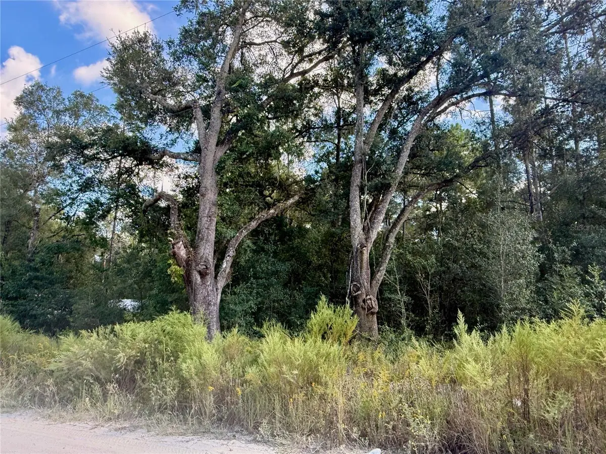 0 SW 16TH PL, Ocala, FL 34481