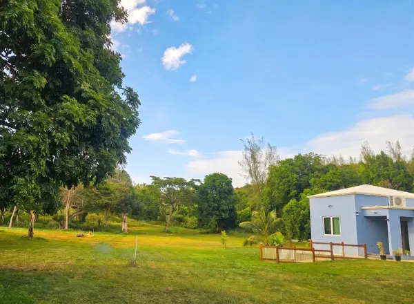 1 LOTE 1 BO GARROCHALES, Arecibo, PR 00612