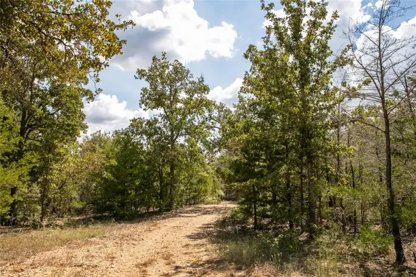 none FM 180, Ledbetter, TX 78946