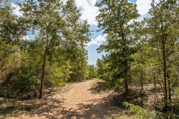 none FM 180, Ledbetter, TX 78946