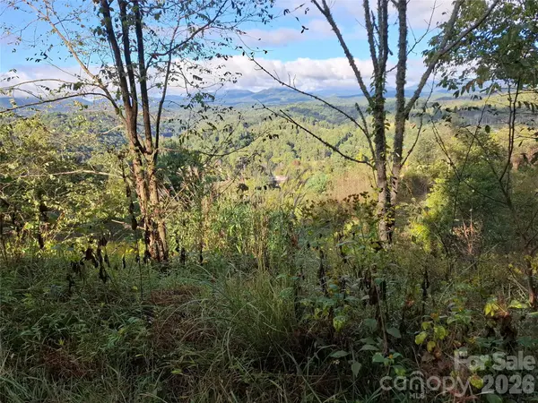 310 Sunset MTN #11, Bakersville, NC 28705