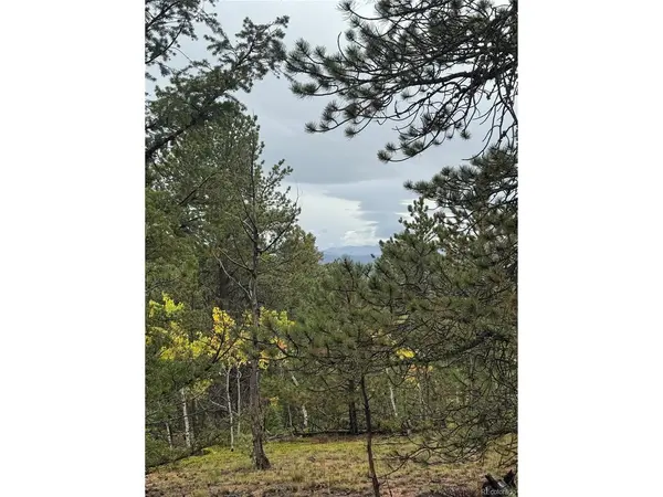 7935 County Road 51, Divide, CO 80814