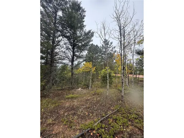 7935 County Road 51, Divide, CO 80814