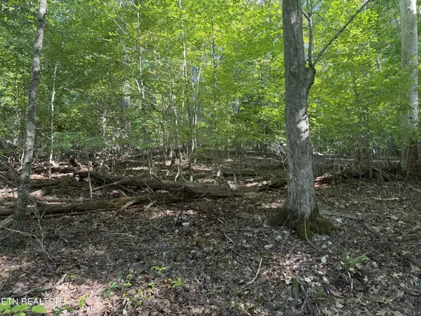 63 Cove Norris Rd, Caryville, TN 37714