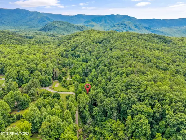 5236 Mathis Branch Rd, Cosby, TN 37722