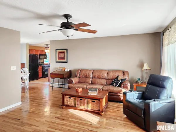 310 N MADISON AVE, Wyoming, IL 61491