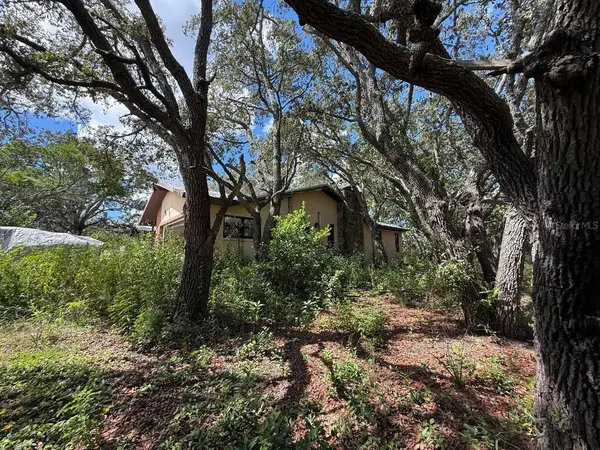 6040 S GEORGIAN RD, Homosassa, FL 34446