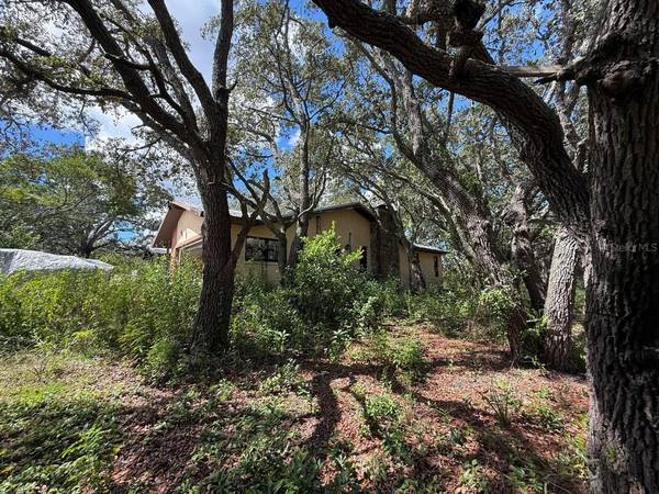 6040 S GEORGIAN RD, Homosassa, FL 34446