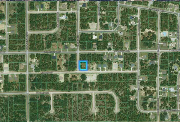 1127 W CARY DR, Citrus Springs, FL 34434