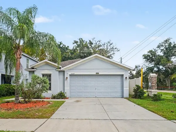 10614 SUMMER AZURE DR, Riverview, FL 33578