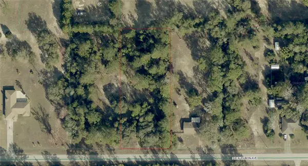 TBD SW AUDUBON AVE, Dunnellon, FL 34431