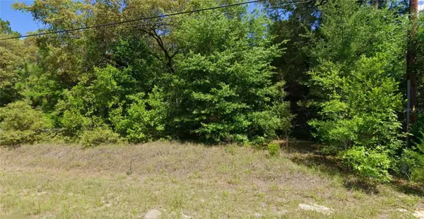 TBD SW AUDUBON AVE, Dunnellon, FL 34431