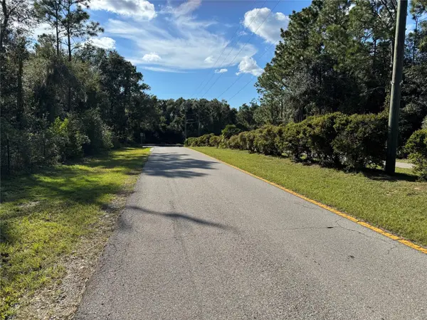 12434 S CANNA PT, Floral City, FL 34436