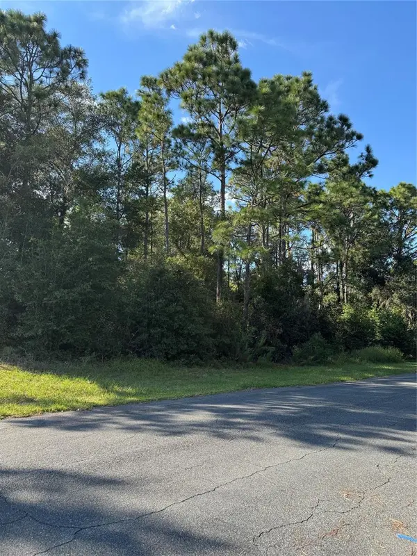 12434 S CANNA PT, Floral City, FL 34436