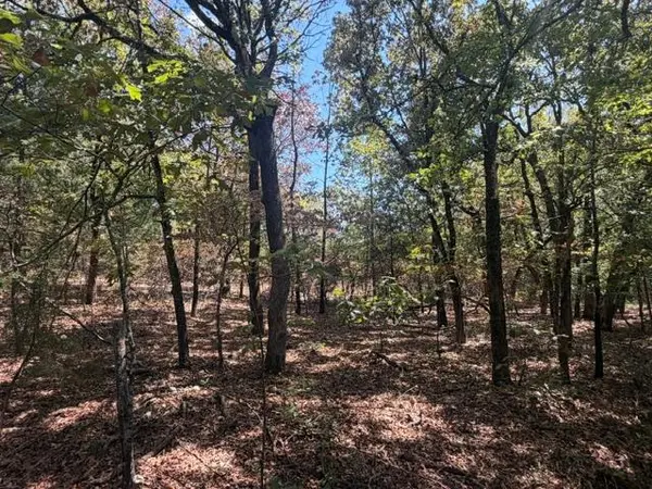 12593 S Crystal Cemetery RD, Lane, OK 74555