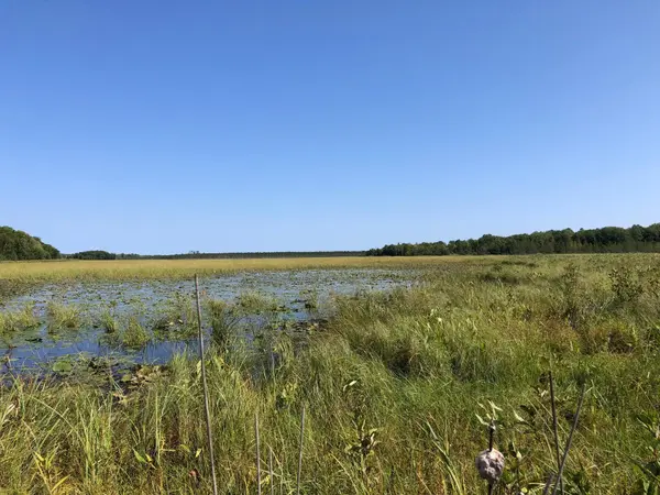 TBD 248th PL, Mcgregor, MN 55760