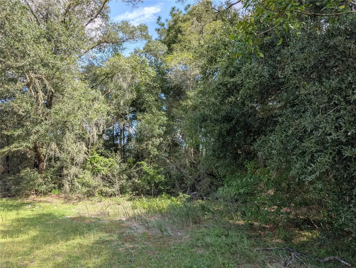 TBD SW 121ST AVE, Dunnellon, FL 34432