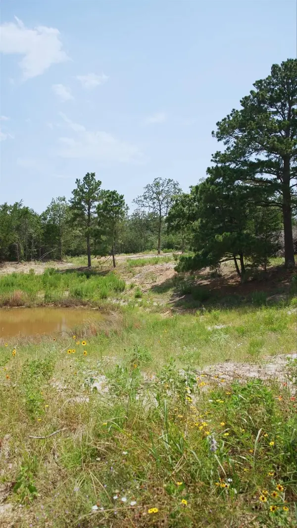555 Altamira LN, Dale, TX 78616