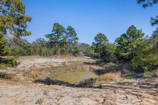 555 Altamira LN, Dale, TX 78616