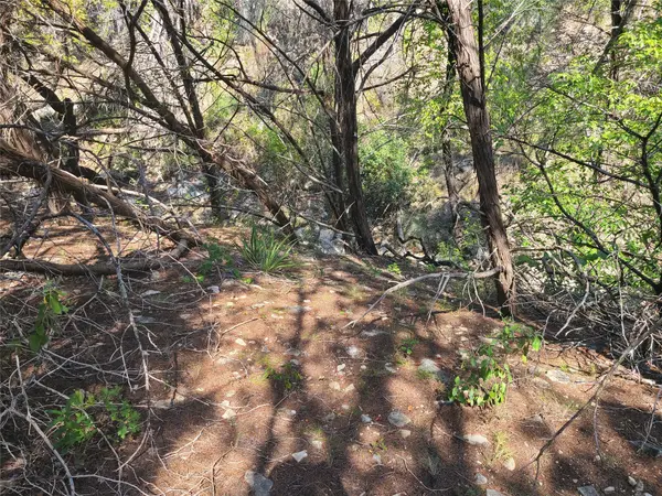 8027 Foothill CV, Leander, TX 78645