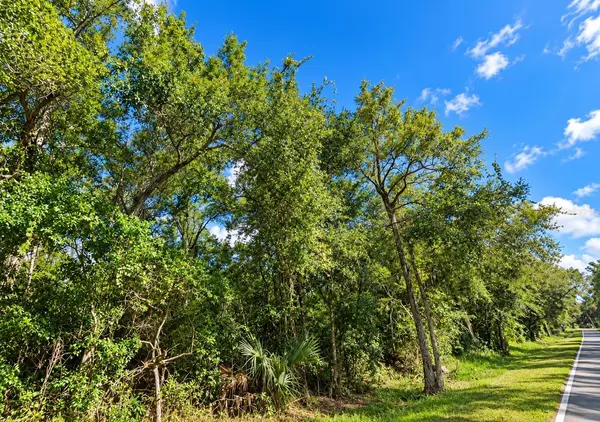 000 OLD KISSIMMEE RD, Davenport, FL 33896