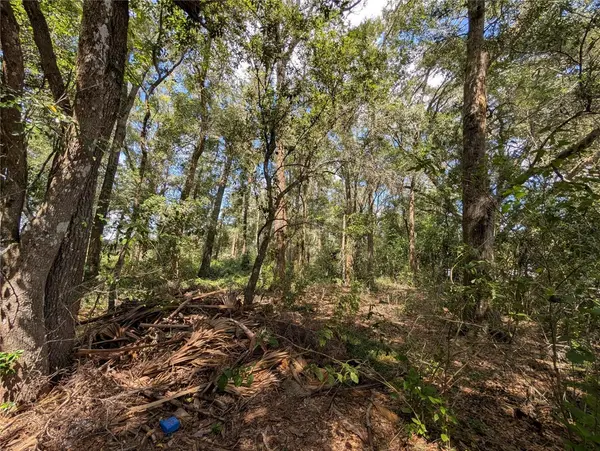 TBD SW 121ST AVE, Dunnellon, FL 34432
