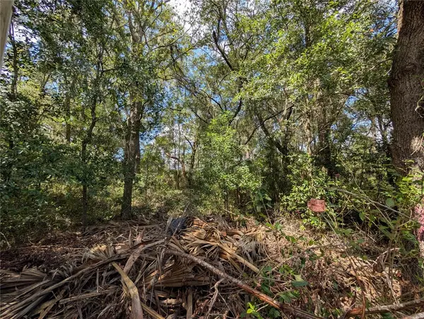 TBD SW 121ST AVE, Dunnellon, FL 34432