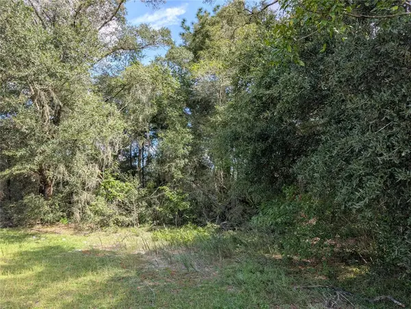 TBD SW 121ST AVE, Dunnellon, FL 34432