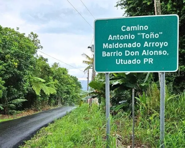 Carr 612 DON ALONSO, CARR 612, PUERTO RICO,00641, Utuado, PR 00641