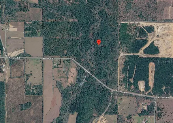33-4N-20-29000-002-0110, Defuniak Springs, FL 32433