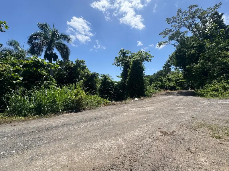 Carr. 361, Km. 3.9 BO. CAÍN BAJO, San German, PR 00683