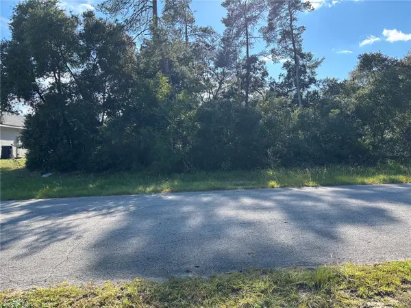 0 SW 171ST ST, Ocala, FL 34473